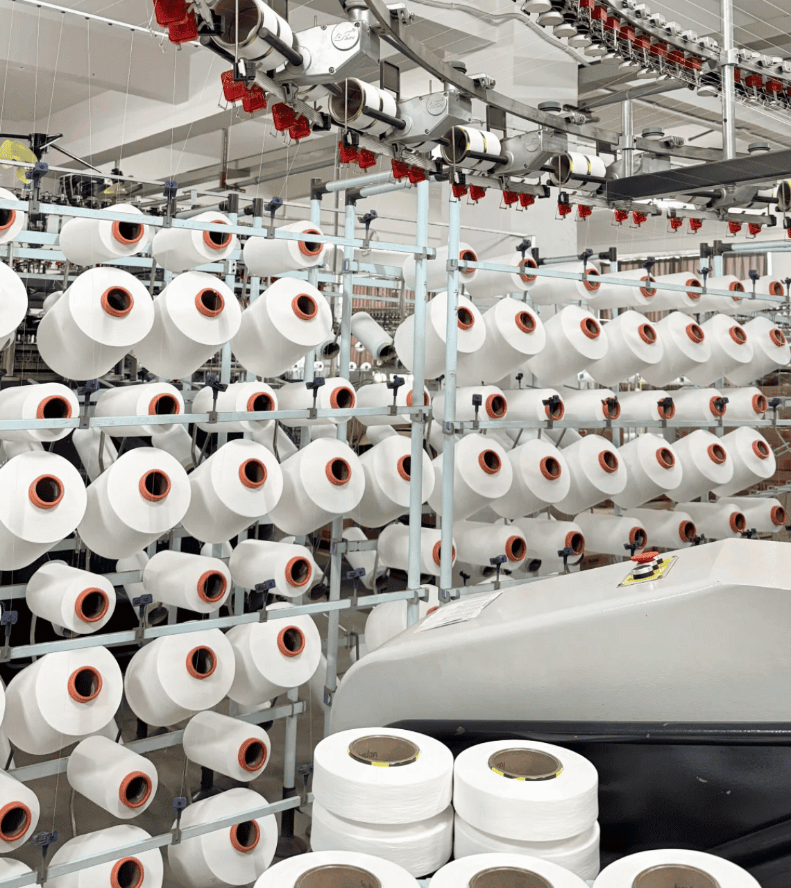 Cut and Sewn Workshop Overview